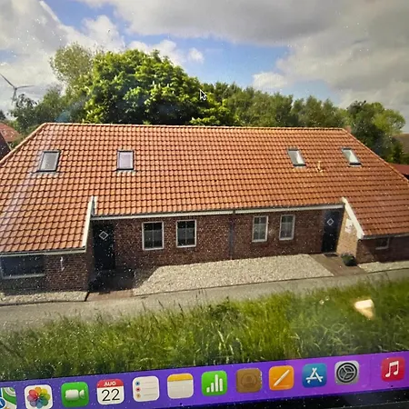 Minikrabbe Hilgenriedersiel