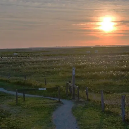 Minikrabbe Apartment